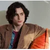 Стикер 27 Timothée Chalamet
