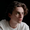 Стикер 39 Timothée Chalamet