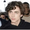 Стикер 43 Timothée Chalamet