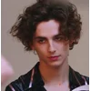 Стикер 6 Timothée Chalamet