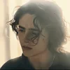 Стикер 48 Timothée Chalamet