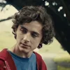 Стикер 56 Timothée Chalamet