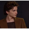 Стикер 30 Timothée Chalamet