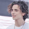 Стикер 12 Timothée Chalamet