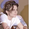 Стикер 50 Timothée Chalamet