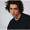 Стикер 38 Timothée Chalamet