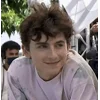 Стикер 21 Timothée Chalamet