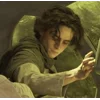 Стикер 4 Timothée Chalamet