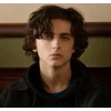 Стикер 18 Timothée Chalamet