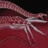 Стикер 3 DARK RED