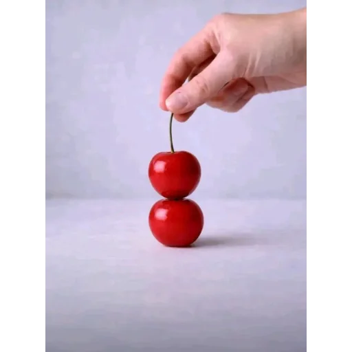 🎂 Стикер «Тортик ,» для Telegram