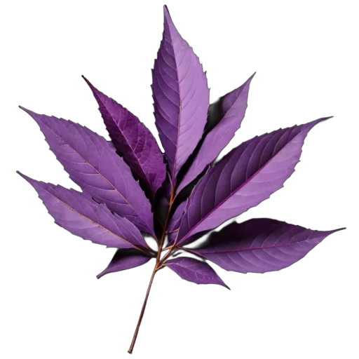 💜 Стикер «Tory Stick 627» для Telegram