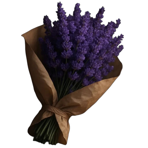 💜 Стикер «Tory Stick 627» для Telegram