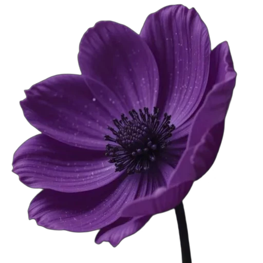 💜 Стикер «Tory Stick 627» для Telegram