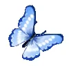🦋 Эмодзи «Blue» для Telegram