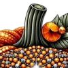 🤩 Эмодзи «random 6» для Telegram