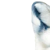 🤩 Эмодзи «blue ng» для Telegram