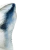 🤩 Эмодзи «blue ng» для Telegram