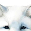 🤩 Эмодзи «blue ng» для Telegram
