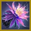Стикер 54 Treasures