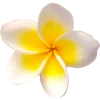 🌸 Эмодзи «Тропики» для Telegram