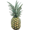 🍍 Эмодзи «Тропики» для Telegram