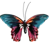🦋 Эмодзи «Тропики» для Telegram