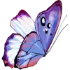 🦋 Эмодзи «Тропики» для Telegram