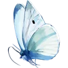 🦋 Эмодзи «Тропики» для Telegram