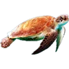 🐢 Эмодзи «Тропики» для Telegram