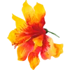 🌸 Эмодзи «Тропики» для Telegram