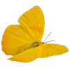 🦋 Эмодзи «Тропики» для Telegram