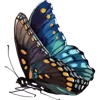 🦋 Эмодзи «Тропики» для Telegram