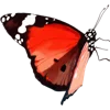 🦋 Эмодзи «Тропики» для Telegram