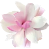 🌸 Эмодзи «Тропики» для Telegram