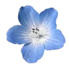 🌸 Эмодзи «Тропики» для Telegram