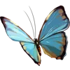 🦋 Эмодзи «Тропики» для Telegram