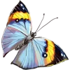 🦋 Эмодзи «Тропики» для Telegram