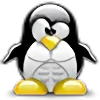 Стикер 28 Tux