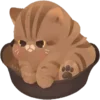 Стикер 24 Cats #cat #cute #girl #animal