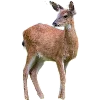 🦌 Эмодзи «twilight vibe» для Telegram