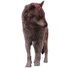 🐺 Эмодзи «twilight vibe» для Telegram