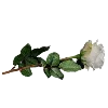 🌹 Эмодзи «twilight vibe» для Telegram