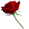 🌹 Эмодзи «Кровавые буквы и иконки сериала сумерки» для Telegram