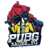 Стикер 22 Pubg