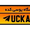 Стикер 48 Pubg