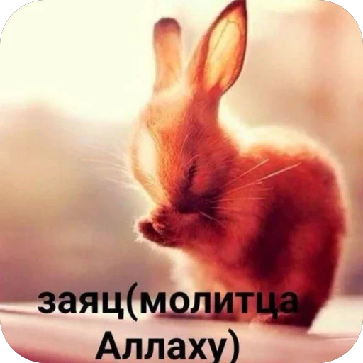 🫥 Стикер «УННВ» для Telegram