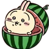🙂 Эмодзи «Usagifuck» для Telegram