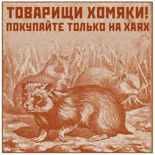 🐹 Стикер «Narnia_USSR_» для Telegram