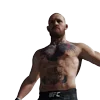 Стикер 19 Ufc Stars